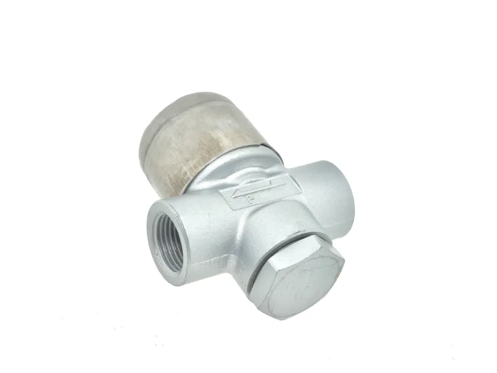 Purgador de vapor F/F 3/8″ para ferro Naomoto